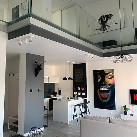 דירות לודז' Two-Levels Penthouse With A Garden In The City Center מראה חיצוני תמונה