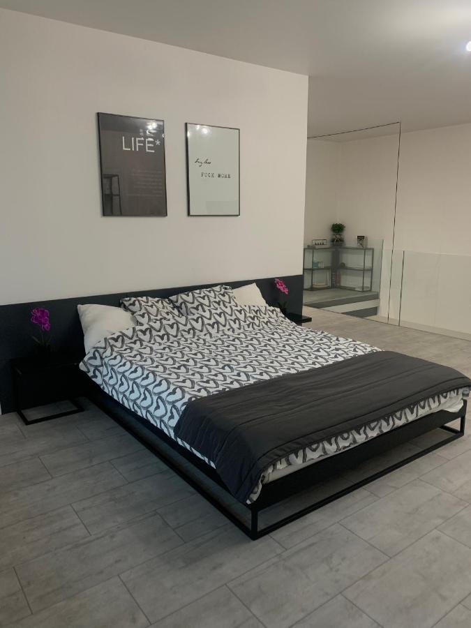 דירות לודז' Two-Levels Penthouse With A Garden In The City Center מראה חיצוני תמונה